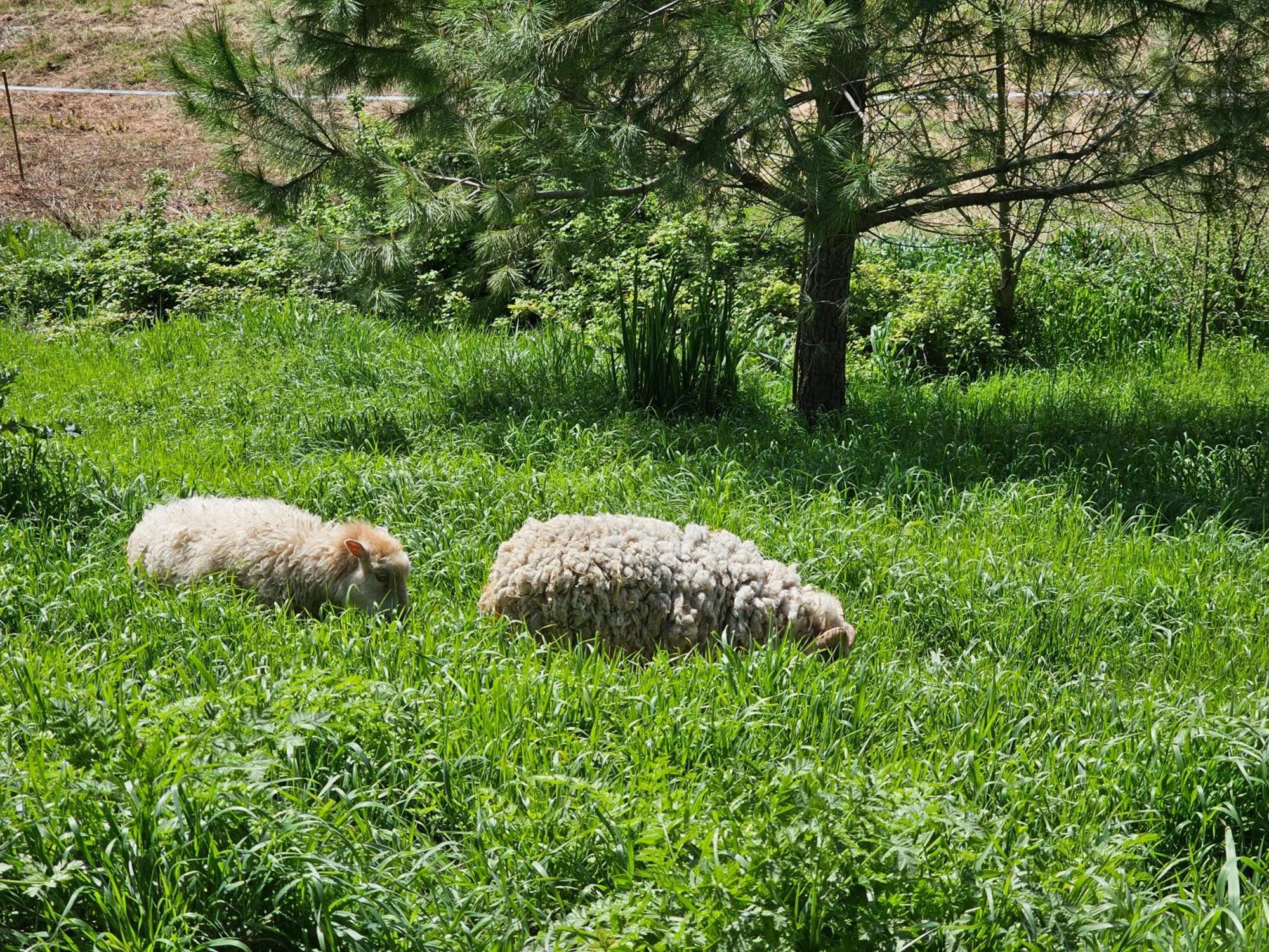 Domaine De Massoulac Molières المظهر الخارجي الصورة